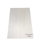 Internal Berg Vario modell Fresh+ felülettel Skandináv Szil színben Magyar szabványos ajtólap